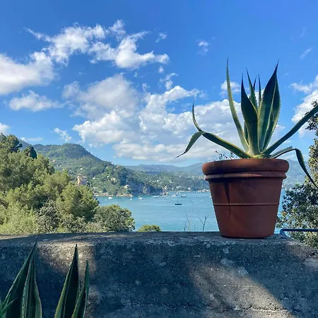 Design With Private Sea Access In Nyaraló *