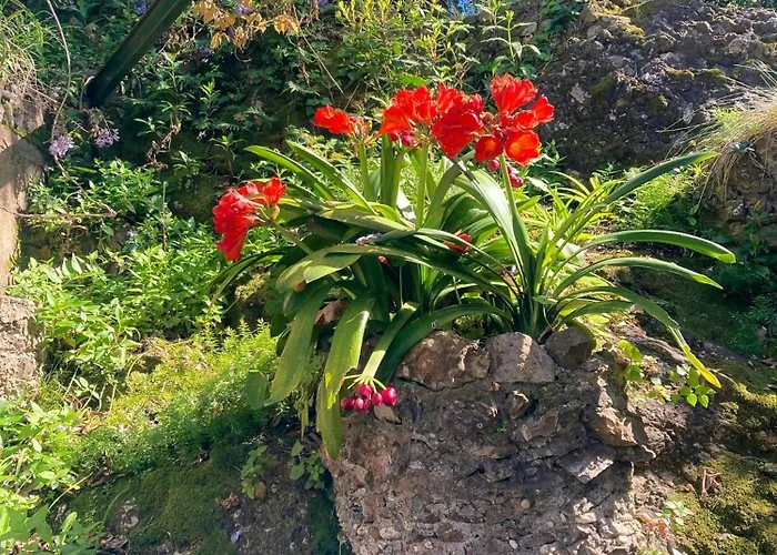 With Private Sea Access In Vakantiehuis *